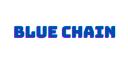 Blue Chain Digital logo